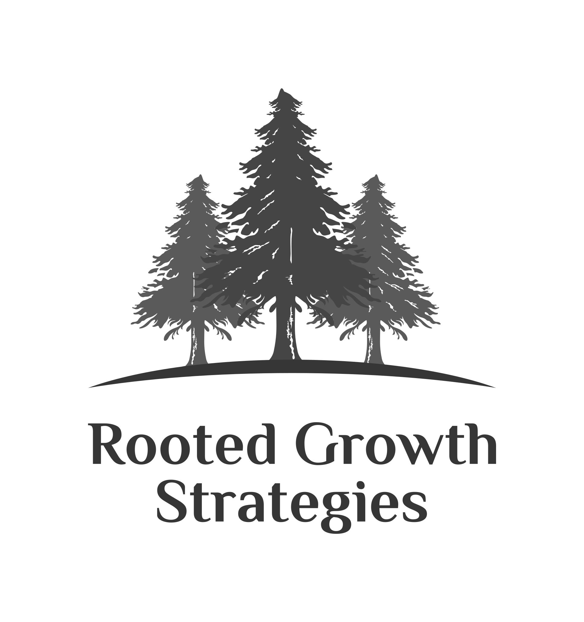 rooted-growth-strategies-transform-your-business-with-our-expert
